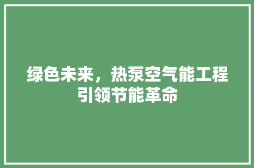 绿色未来，热泵空气能工程引领节能革命 家居维修