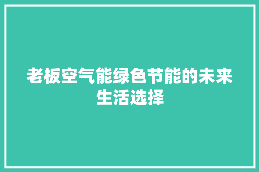 老板空气能绿色节能的未来生活选择 冰箱