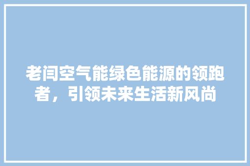 老闫空气能绿色能源的领跑者，引领未来生活新风尚 热水器