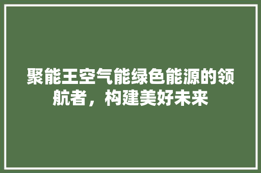 聚能王空气能绿色能源的领航者，构建美好未来 清洁保养