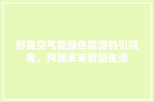 舒良空气能绿色能源的引领者，构建未来智慧生活 洗衣机