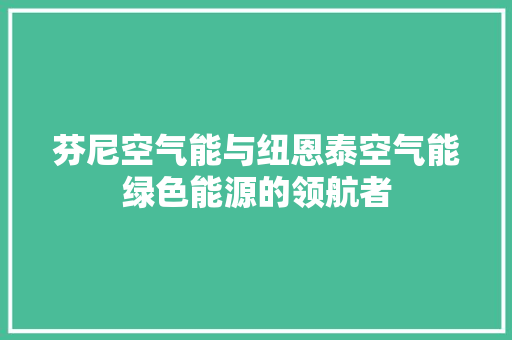 芬尼空气能与纽恩泰空气能绿色能源的领航者 热水器