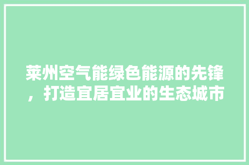 莱州空气能绿色能源的先锋，打造宜居宜业的生态城市 洗衣机