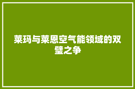 莱玛与莱恩空气能领域的双璧之争 洁具维修