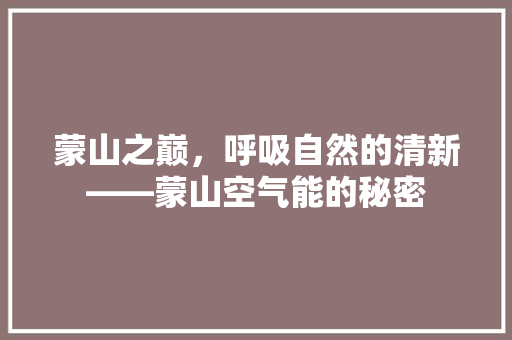 蒙山之巅，呼吸自然的清新——蒙山空气能的秘密 清洁保养