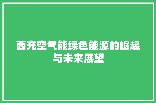 西充空气能绿色能源的崛起与未来展望 洗衣机