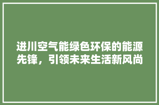 进川空气能绿色环保的能源先锋，引领未来生活新风尚 家居维修