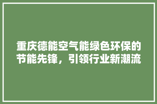 重庆德能空气能绿色环保的节能先锋，引领行业新潮流 清洁保养