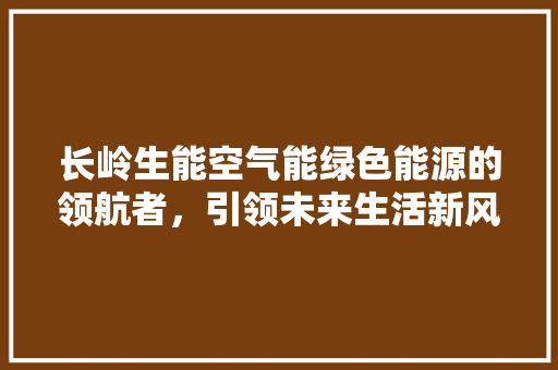 长岭生能空气能绿色能源的领航者，引领未来生活新风尚 热水器