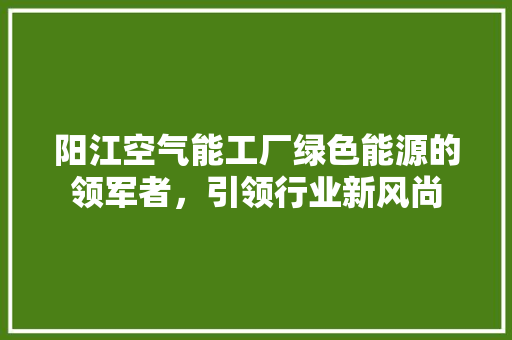 阳江空气能工厂绿色能源的领军者，引领行业新风尚 旧房改造