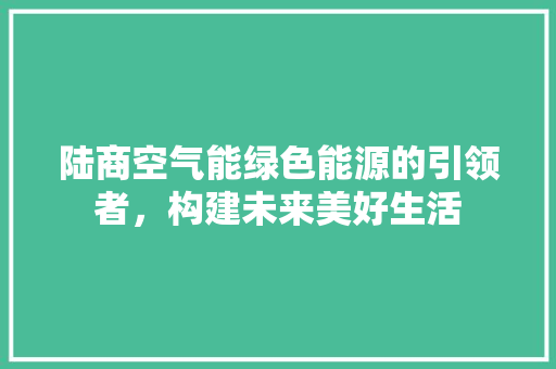 陆商空气能绿色能源的引领者，构建未来美好生活 家电维护