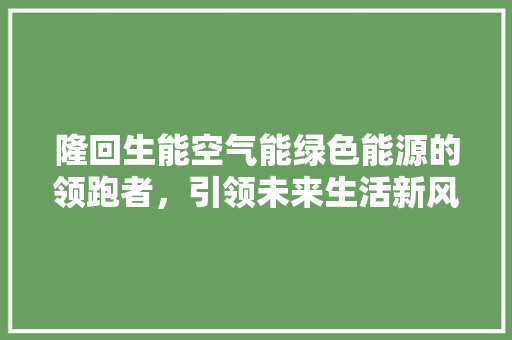 隆回生能空气能绿色能源的领跑者，引领未来生活新风尚 水电维修