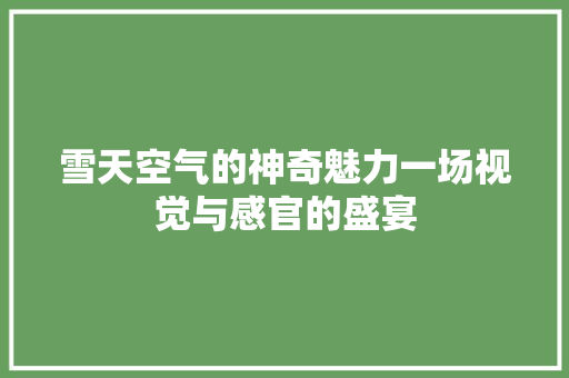 雪天空气的神奇魅力一场视觉与感官的盛宴 局部翻新