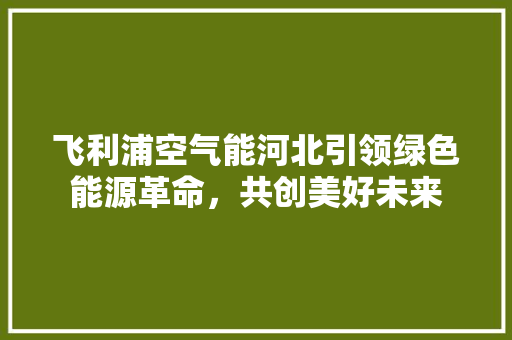 飞利浦空气能河北引领绿色能源革命，共创美好未来 龙头管件