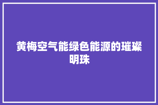 黄梅空气能绿色能源的璀璨明珠 冰箱
