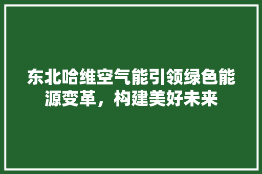 东北哈维空气能引领绿色能源变革，构建美好未来 局部翻新