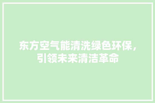 东方空气能清洗绿色环保，引领未来清洁革命 贴膜