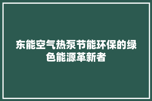 东能空气热泵节能环保的绿色能源革新者 水电维修