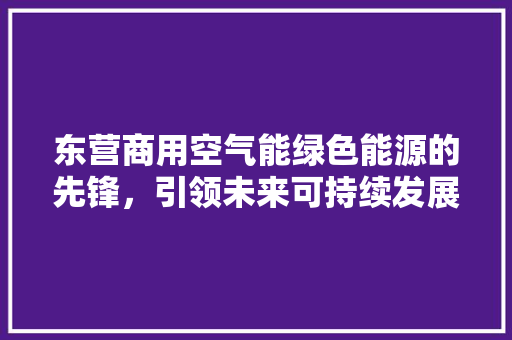 东营商用空气能绿色能源的先锋，引领未来可持续发展 冰箱