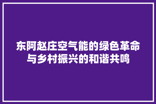 东阿赵庄空气能的绿色革命与乡村振兴的和谐共鸣 旧房改造