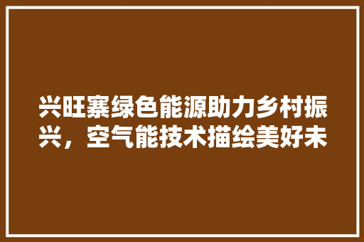 兴旺寨绿色能源助力乡村振兴，空气能技术描绘美好未来 热水器