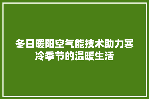 冬日暖阳空气能技术助力寒冷季节的温暖生活 空调