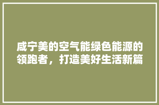 咸宁美的空气能绿色能源的领跑者，打造美好生活新篇章 水电维修