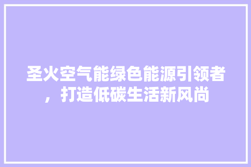 圣火空气能绿色能源引领者，打造低碳生活新风尚 空调