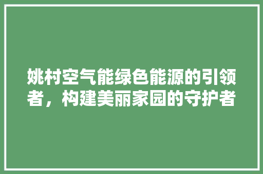 姚村空气能绿色能源的引领者，构建美丽家园的守护者 热水器