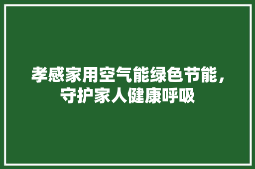 孝感家用空气能绿色节能，守护家人健康呼吸 灯具安装