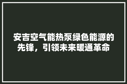 安吉空气能热泵绿色能源的先锋，引领未来暖通革命 家居维修