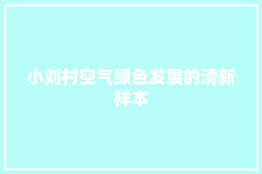 小刘村空气绿色发展的清新样本 灯具安装