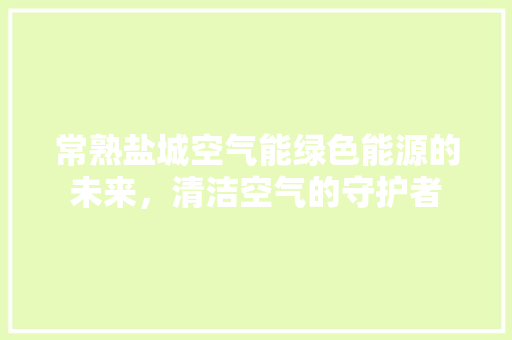 常熟盐城空气能绿色能源的未来，清洁空气的守护者 水电维修