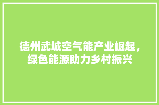 德州武城空气能产业崛起，绿色能源助力乡村振兴 空调