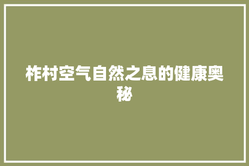 柞村空气自然之息的健康奥秘 灯具安装