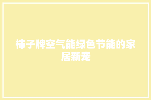 柿子牌空气能绿色节能的家居新宠 翻新改色