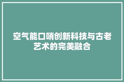 空气能口哨创新科技与古老艺术的完美融合 家电维护