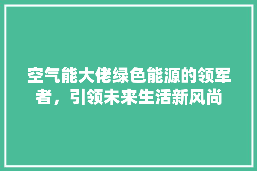 空气能大佬绿色能源的领军者，引领未来生活新风尚 家电维护