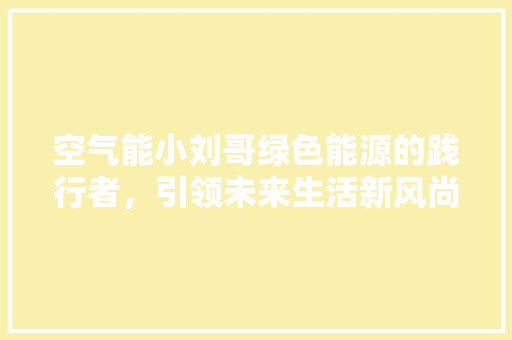 空气能小刘哥绿色能源的践行者，引领未来生活新风尚 家具修理