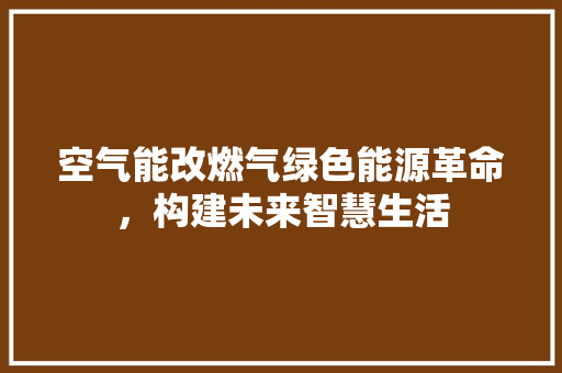 空气能改燃气绿色能源革命，构建未来智慧生活 贴膜