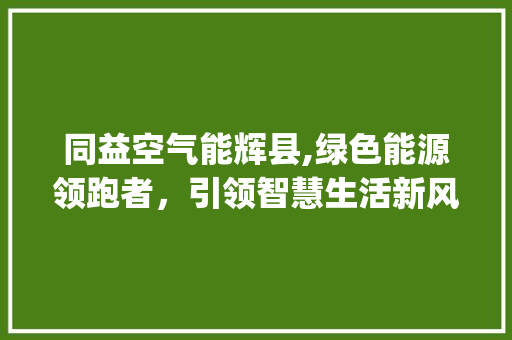 同益空气能辉县,绿色能源领跑者，引领智慧生活新风尚_同益空气能辉县 同益空气能辉县,绿色能源领跑者，引领智慧生活新风尚_同益空气能辉县 家具修理
