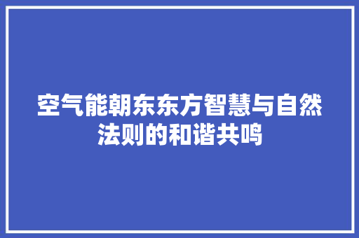 空气能朝东东方智慧与自然法则的和谐共鸣 灯具安装