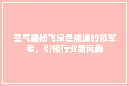 空气能杨飞绿色能源的领军者，引领行业新风尚 洗衣机