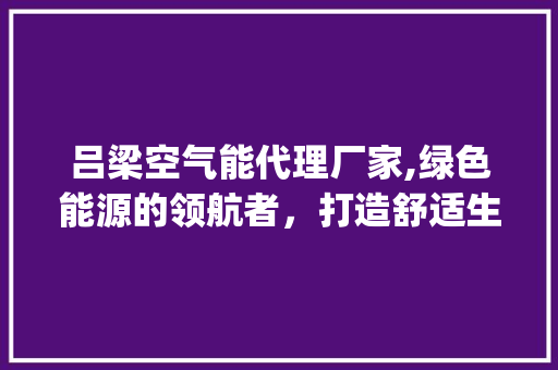 吕梁空气能代理厂家,绿色能源的领航者，打造舒适生活新篇章_吕梁空气能代理厂家 吕梁空气能代理厂家,绿色能源的领航者，打造舒适生活新篇章_吕梁空气能代理厂家 洗衣机