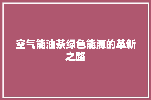 空气能油茶绿色能源的革新之路 旧房改造