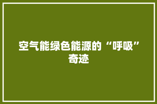 空气能绿色能源的“呼吸”奇迹 热水器