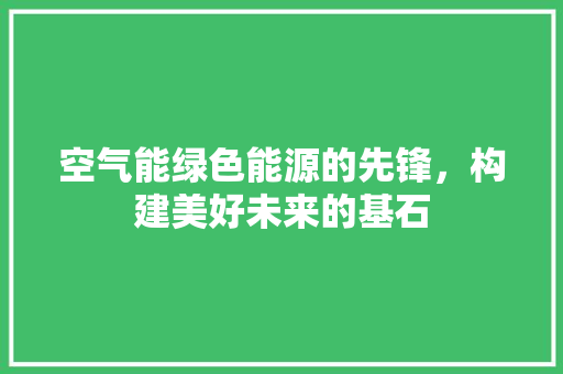 空气能绿色能源的先锋，构建美好未来的基石 清洁保养