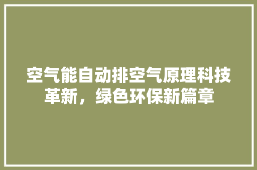 空气能自动排空气原理科技革新，绿色环保新篇章 家具修理