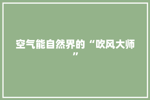 空气能自然界的“吹风大师” 热水器
