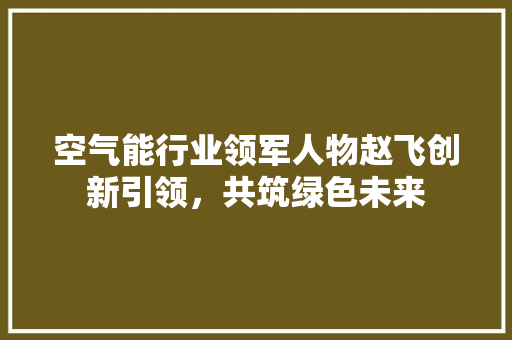 空气能行业领军人物赵飞创新引领，共筑绿色未来 家居维修